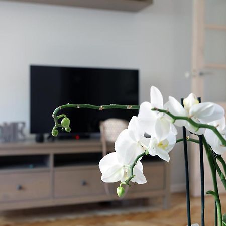 Apartament Turkus ชเตชชิน ภายนอก รูปภาพ