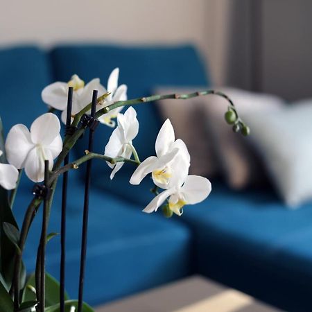 Apartament Turkus ชเตชชิน ภายนอก รูปภาพ