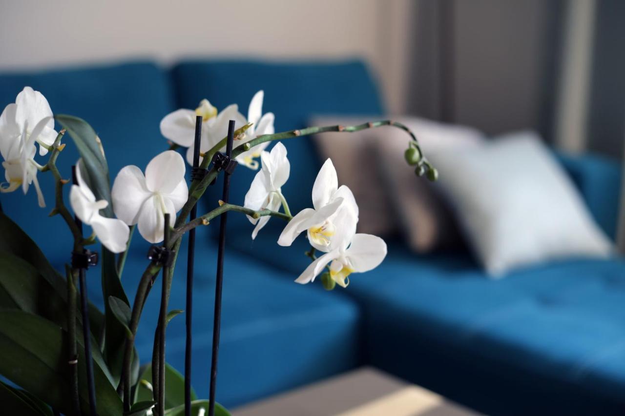 Apartament Turkus ชเตชชิน ภายนอก รูปภาพ
